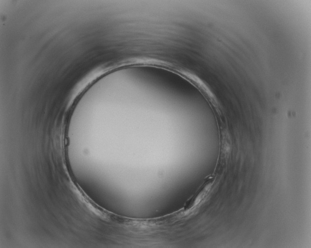 X0000083010910200702161548