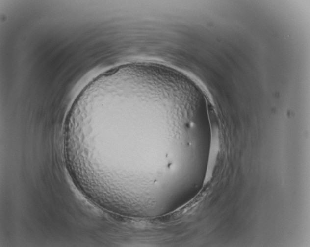 X0000083010911200702161548