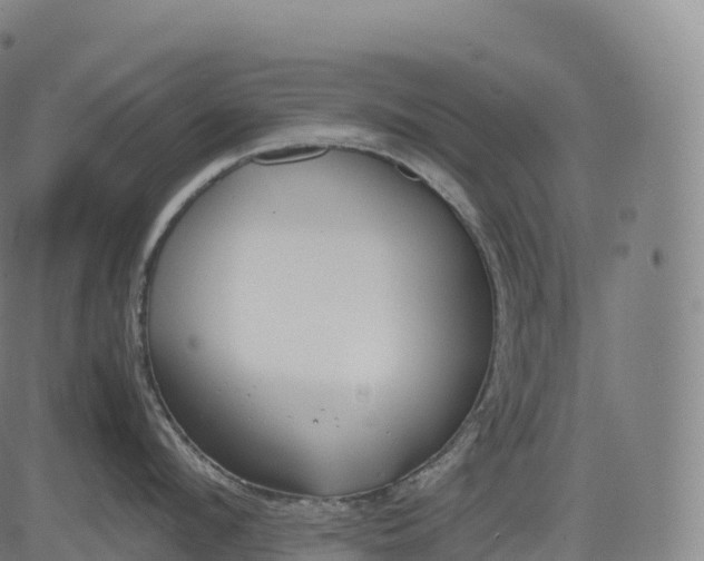 X0000083010912200702161548