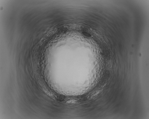 X0000083010913200702161547