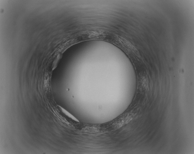 X0000083010914200702161547