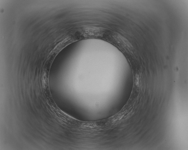 X0000083010915200702161547