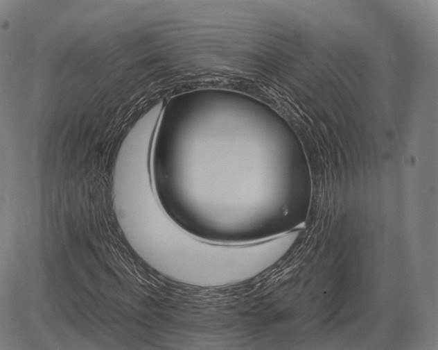 X0000083010916200702161547