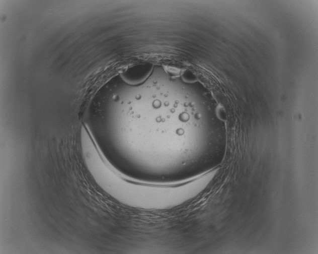 X0000083010917200702161547