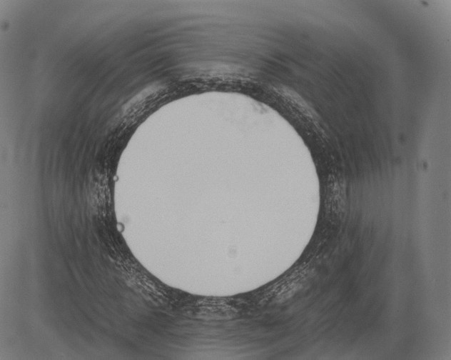 X0000083010918200702161547