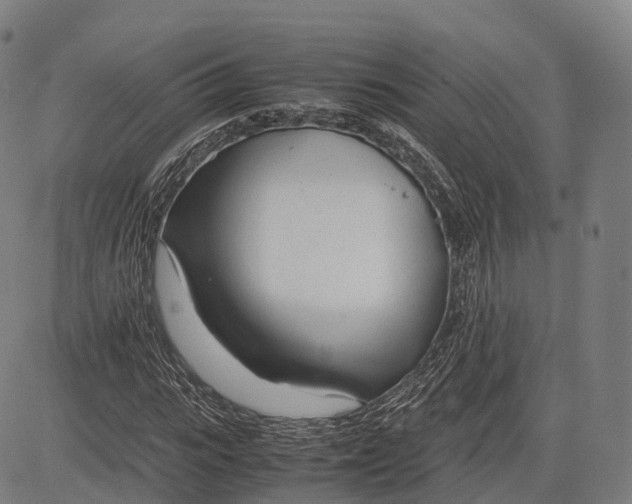 X0000083010919200702161547