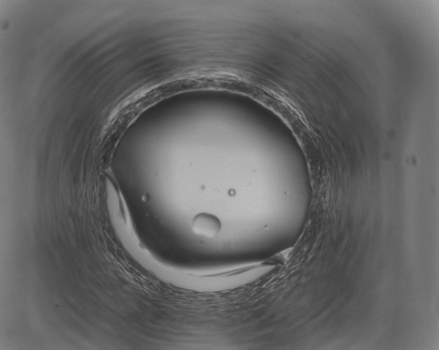 X0000083010920200702161547