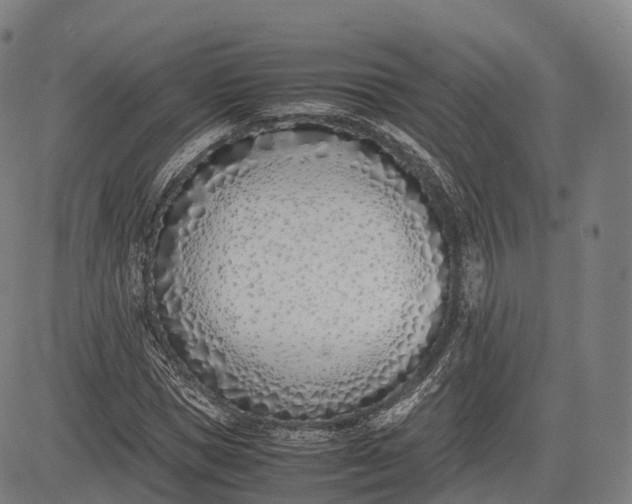 X0000083010921200702161547