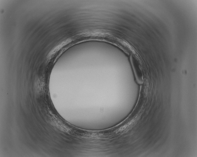 X0000083010922200702161547