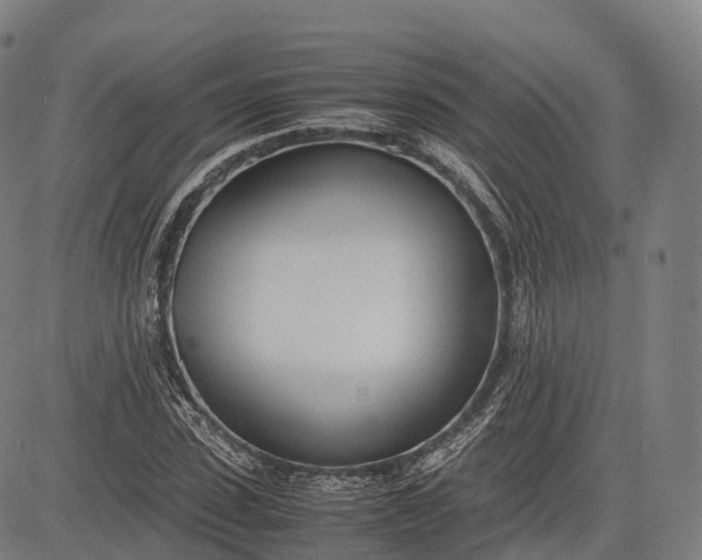 X0000083010923200702161547