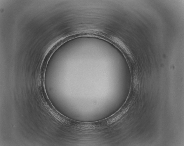 X0000083010924200702161547