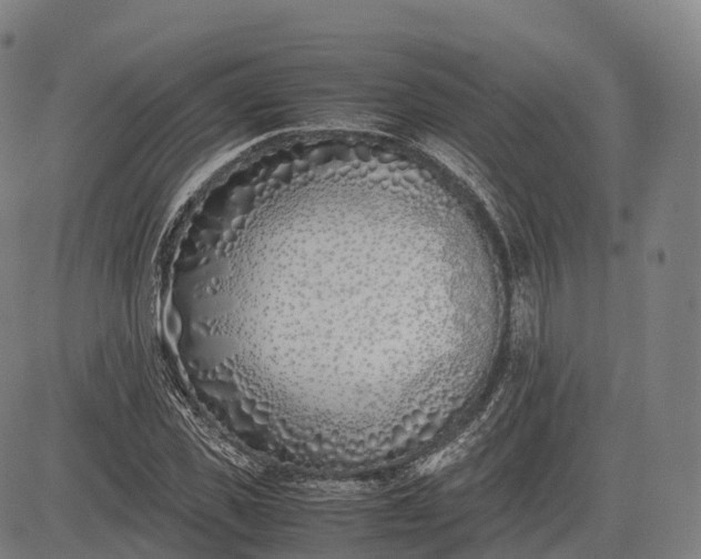 X0000083010925200702161547