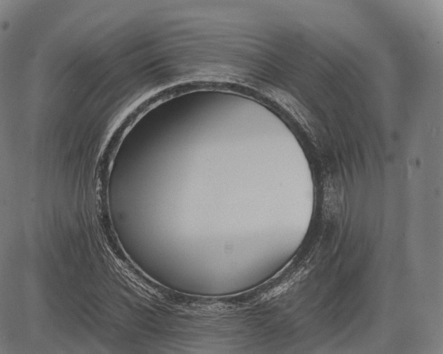 X0000083010926200702161547