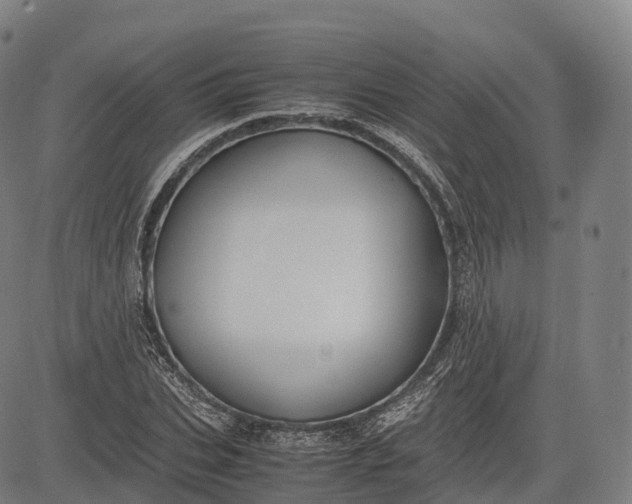 X0000083010927200702161547