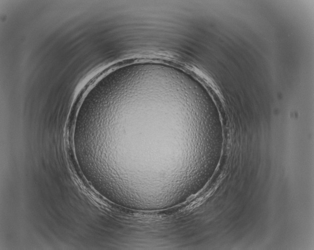 X0000083010928200702161547