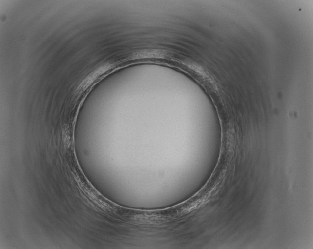 X0000083010929200702161547