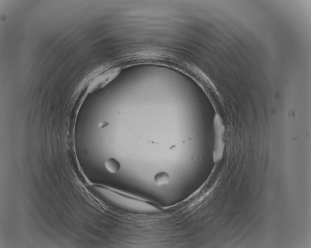 X0000083010930200702161547