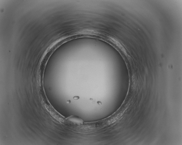 X0000083010931200702161547