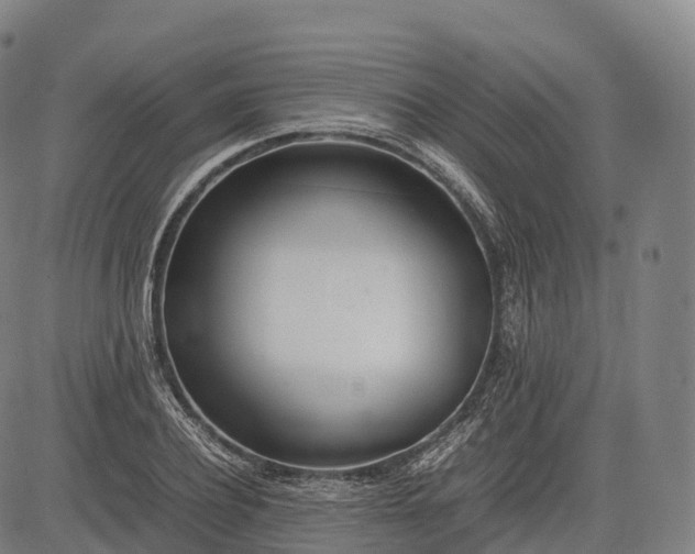 X0000083010932200702161547