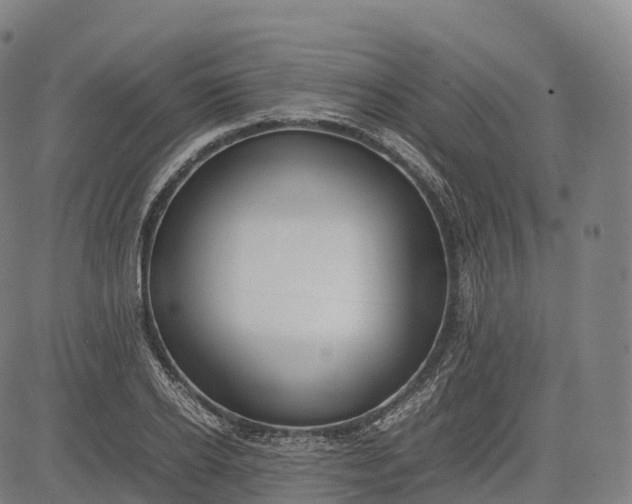 X0000083010934200702161547