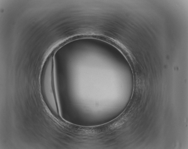 X0000083010935200702161547