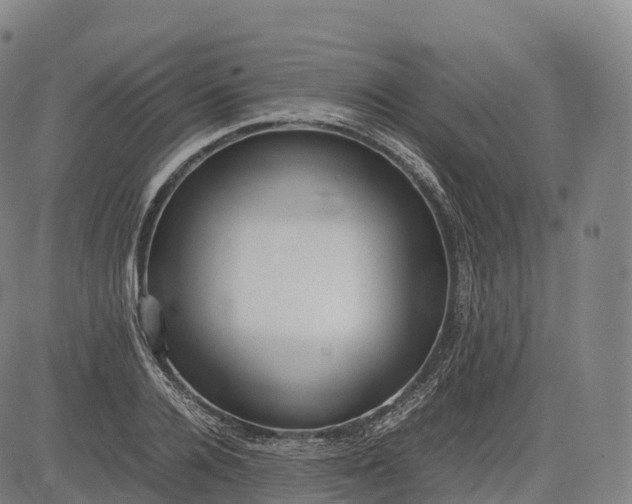 X0000083010936200702161547