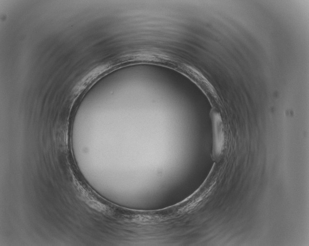 X0000083010938200702161548