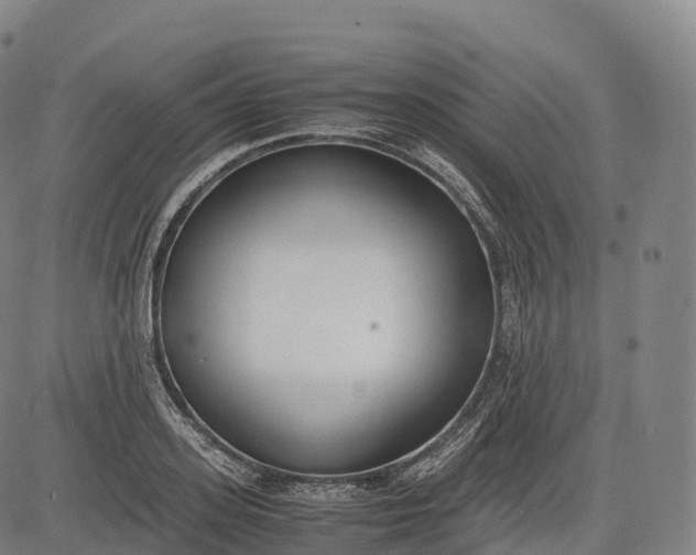 X0000083010939200702161548