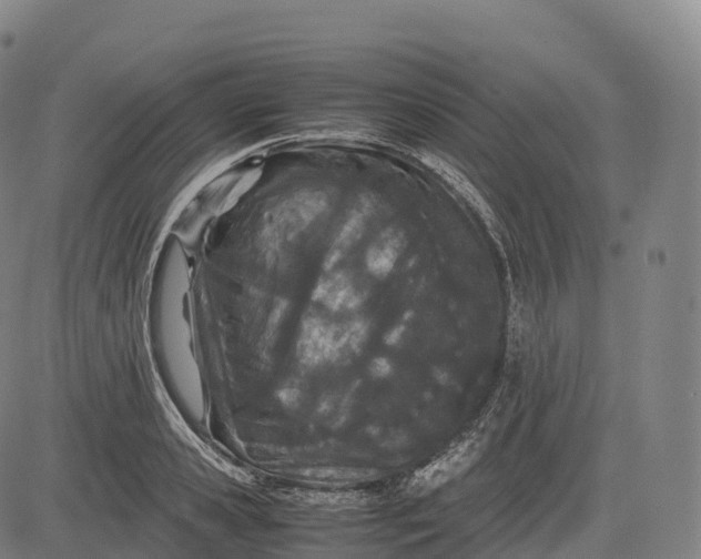 X0000083010941200702161548