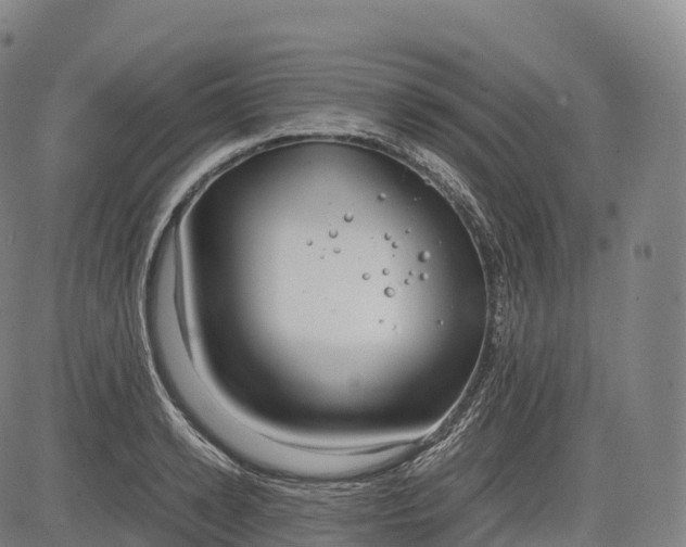 X0000083010942200702161548