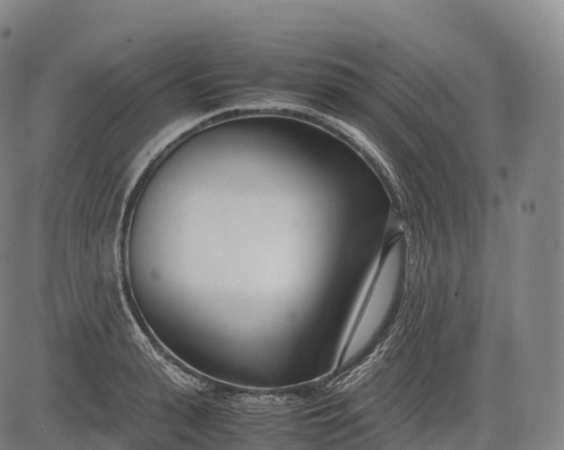 X0000083010943200702161548