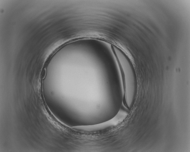 X0000083010944200702161548