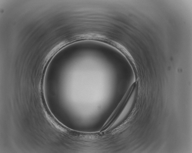 X0000083010946200702161548