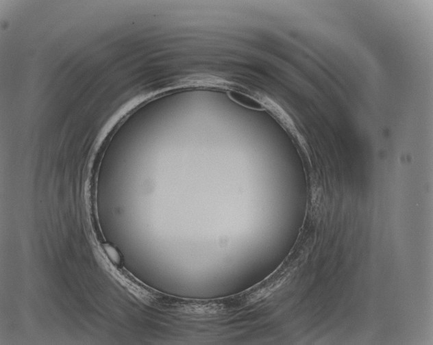 X0000083010947200702161548