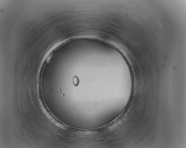 X0000083010949200702161548