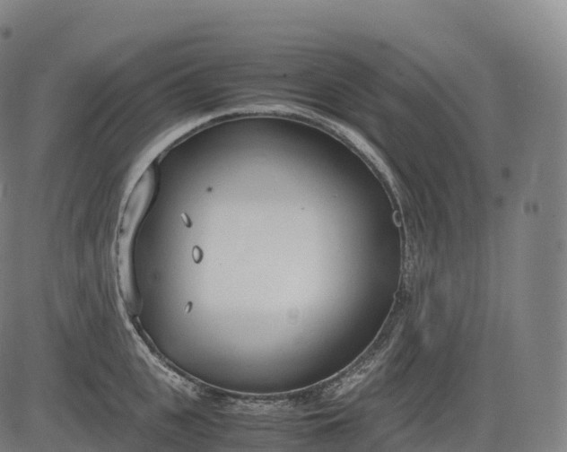 X0000083010951200702161548