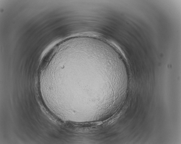 X0000083010952200702161548