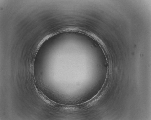 X0000083010953200702161548