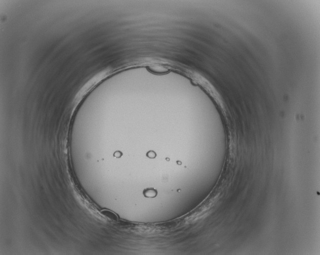 X0000083010954200702161548