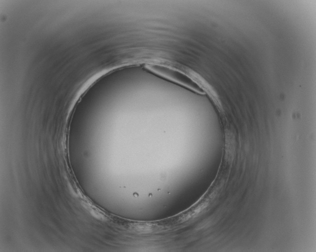 X0000083010956200702161548