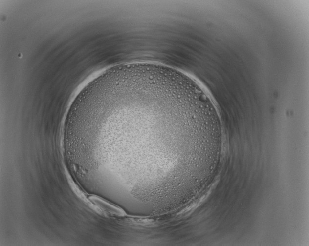 X0000083010957200702161548