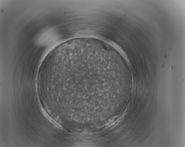 X0000083010958200702161548