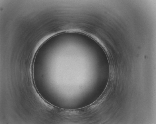 X0000083010959200702161548