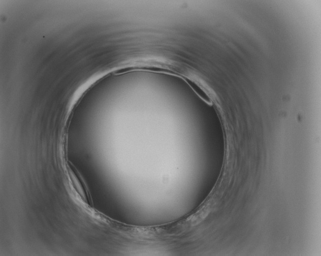 X0000083010960200702161548