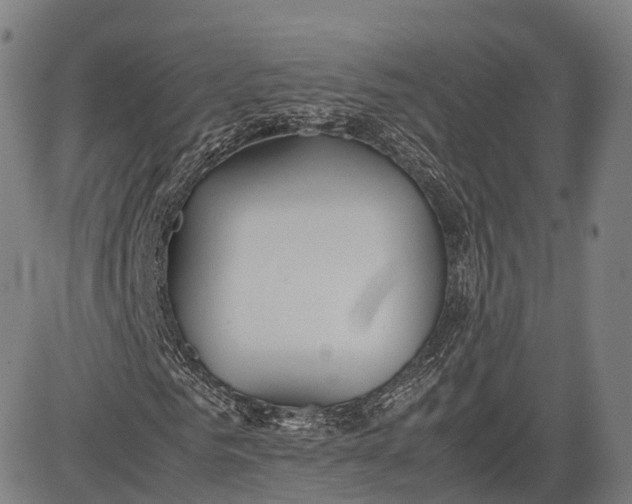 X0000083010961200702161547