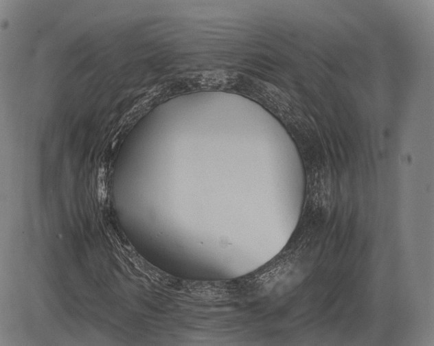 X0000083010962200702161547