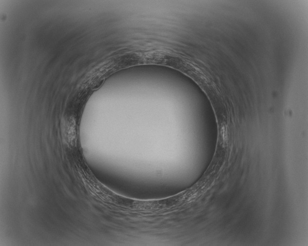 X0000083010963200702161547