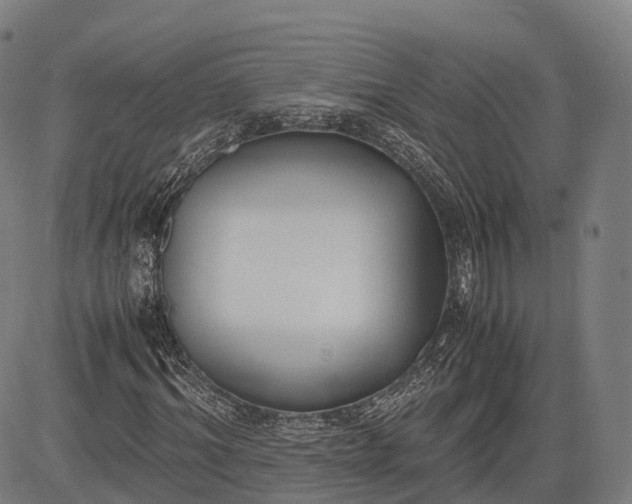 X0000083010964200702161547