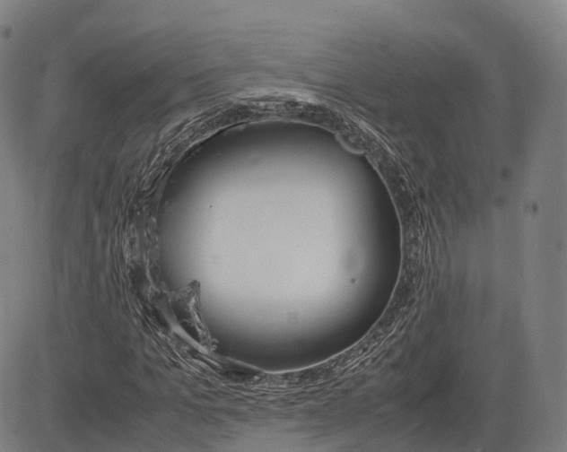 X0000083010965200702161547