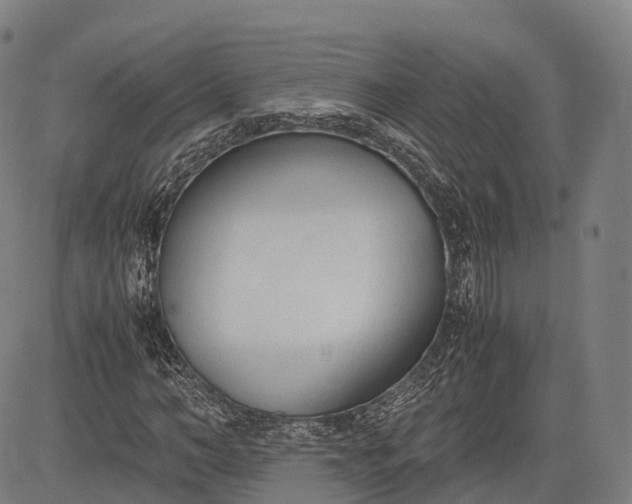 X0000083010966200702161547